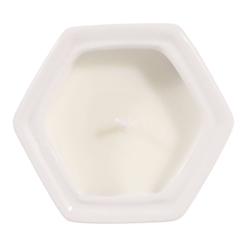 Scented Candle - Sage & Eucalyptus Green Ceramic, 6 Oz