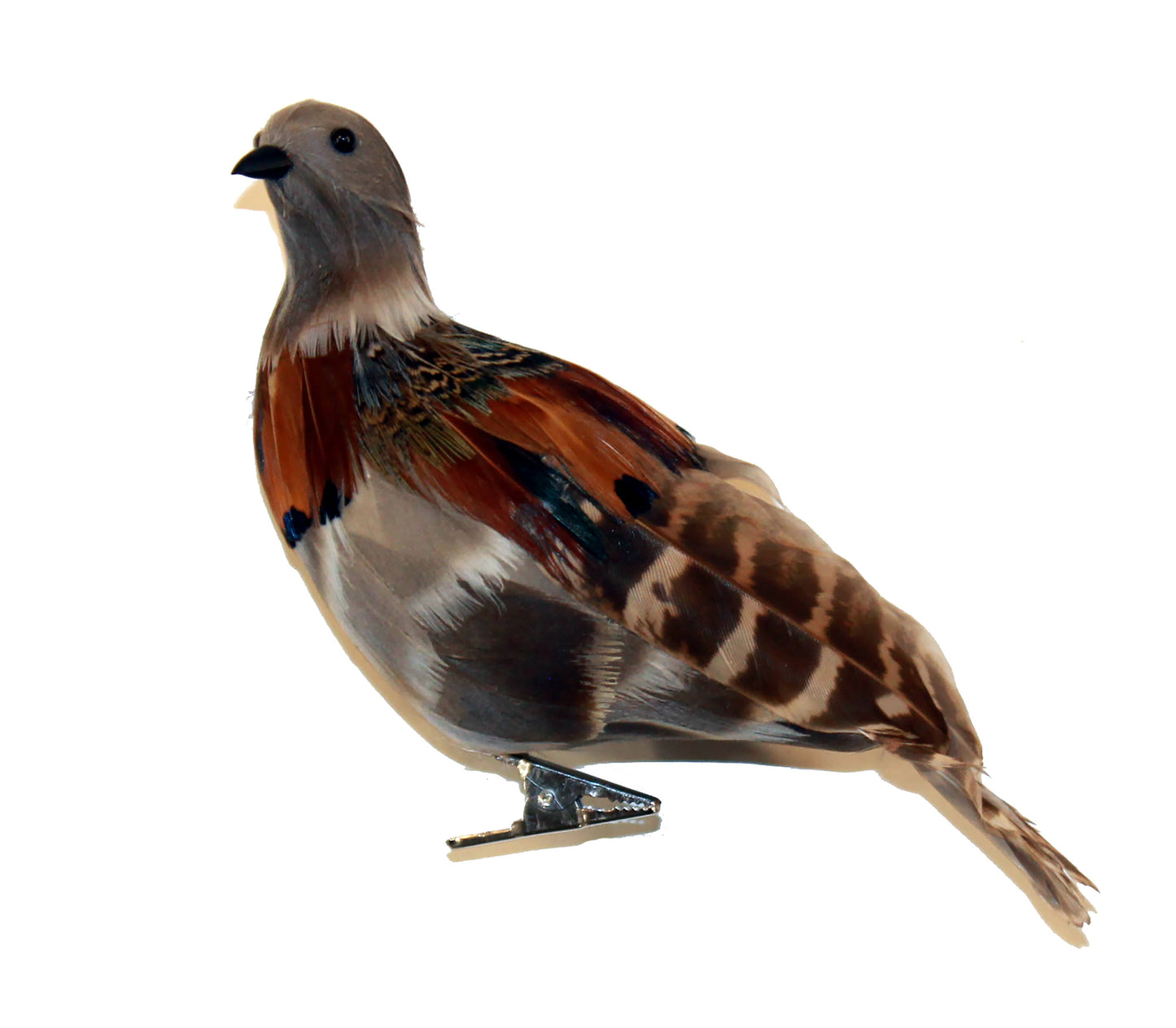 Turtledove with Clip- 6" Feathered