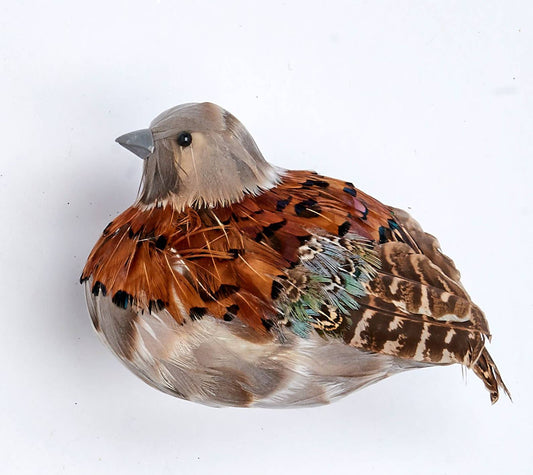 Partridge- 5" Feathered
