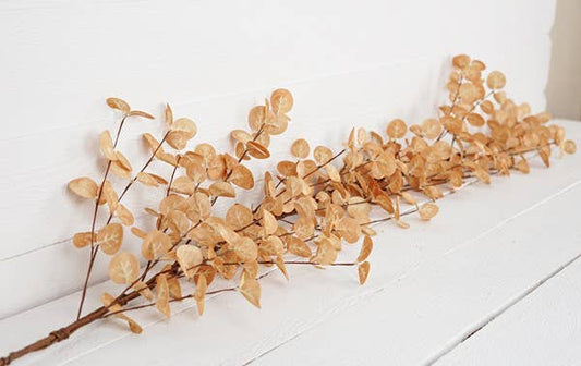 29501 - 5ft Garland-Foam Silver Dollar Leaves-Beige