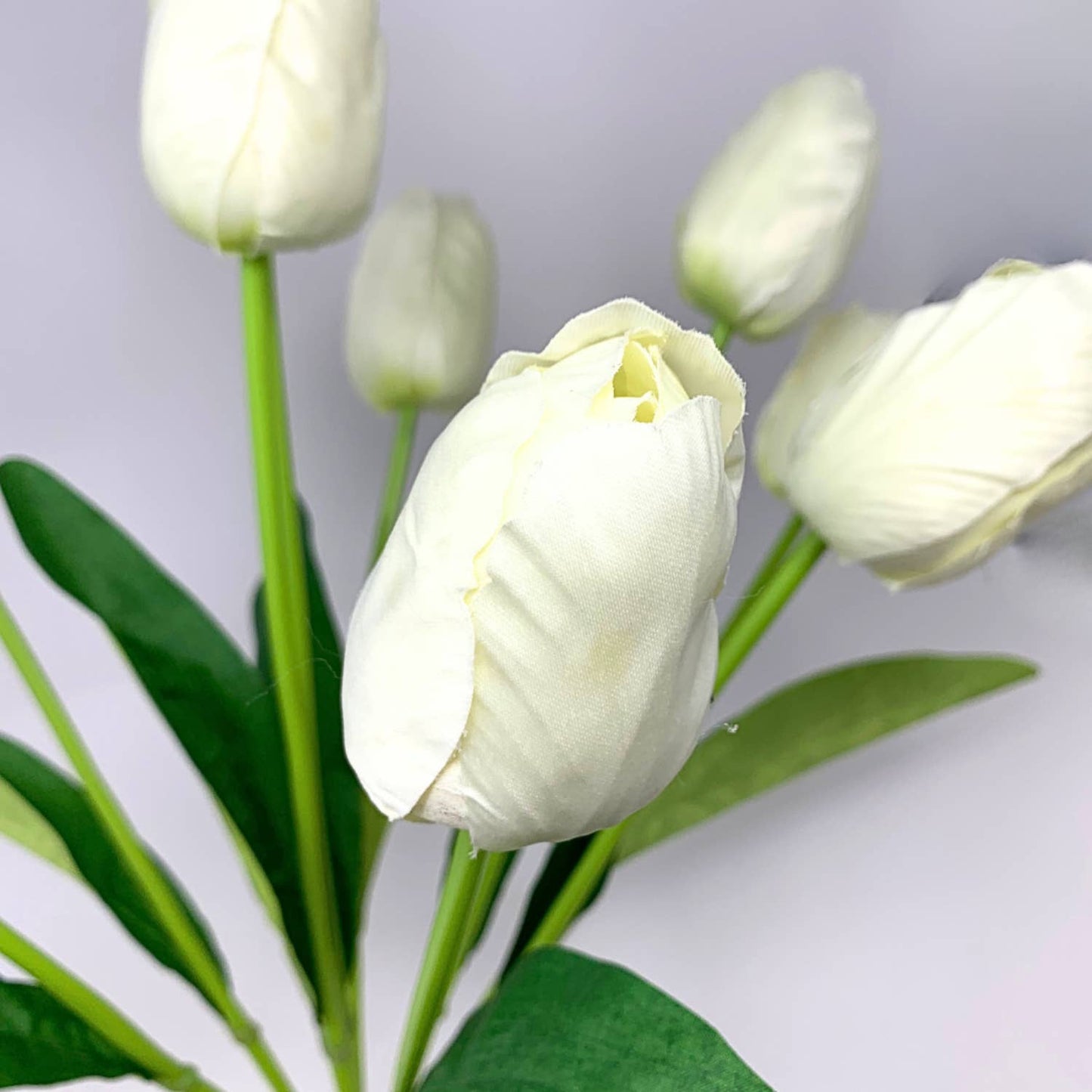 Floral Market Tulip Bush x 9 - Cream/White 20"