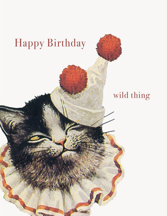 Happy birthday  wild thing  A2 Greeting card