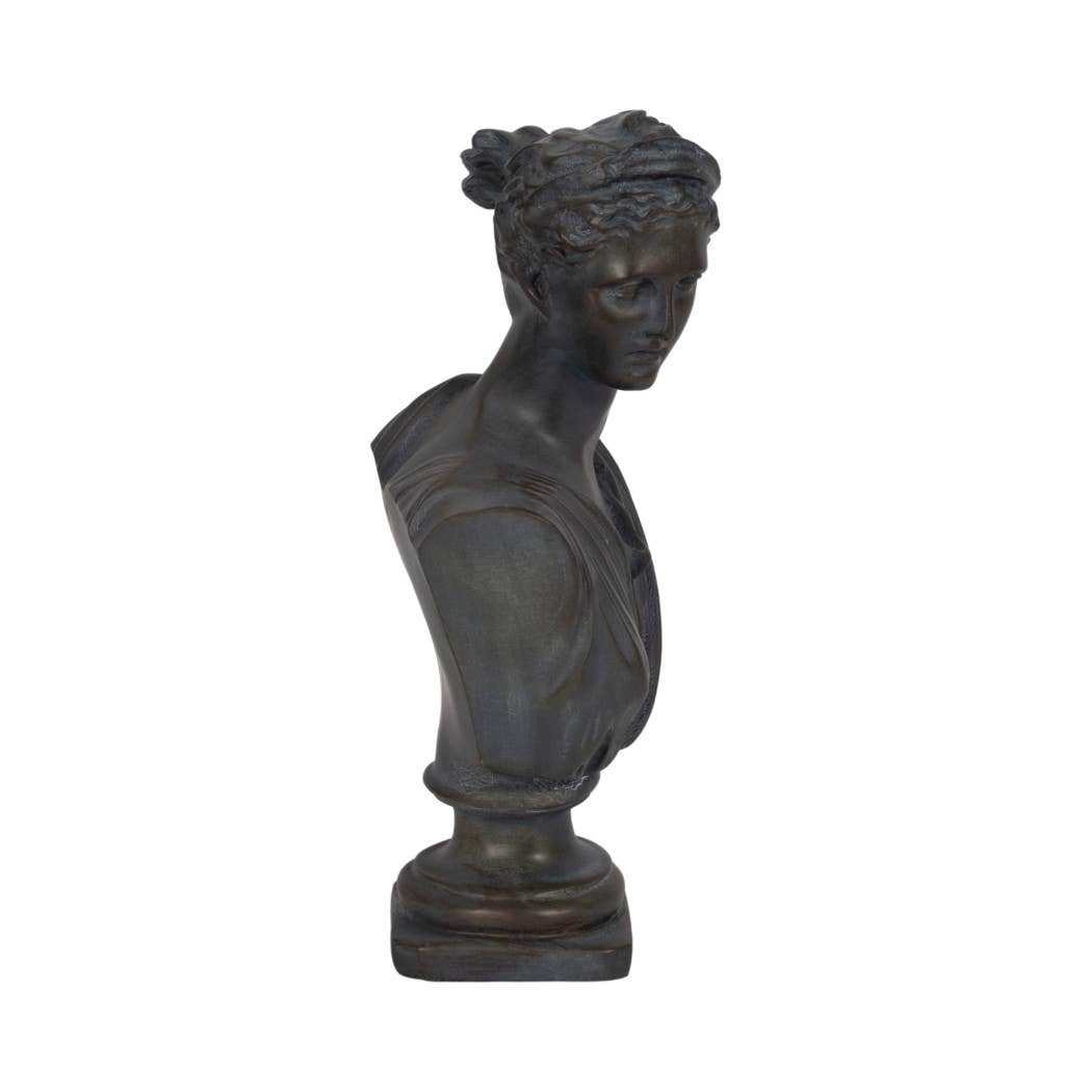 Aged Classical Bust Sculpture.