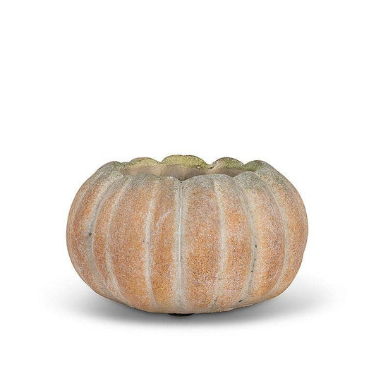 Cement Pumpkin Planter: Small Low (5.5"W)
