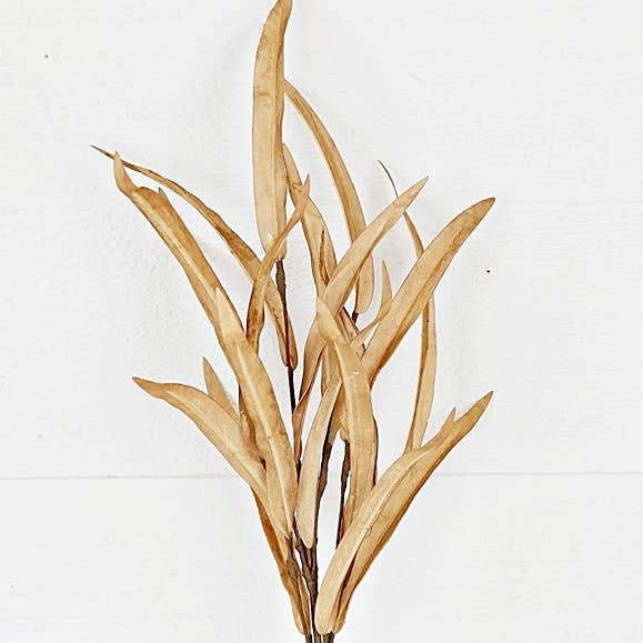 Willow Leaves-Beige-