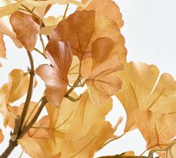 Ginkgo Branch- Golden