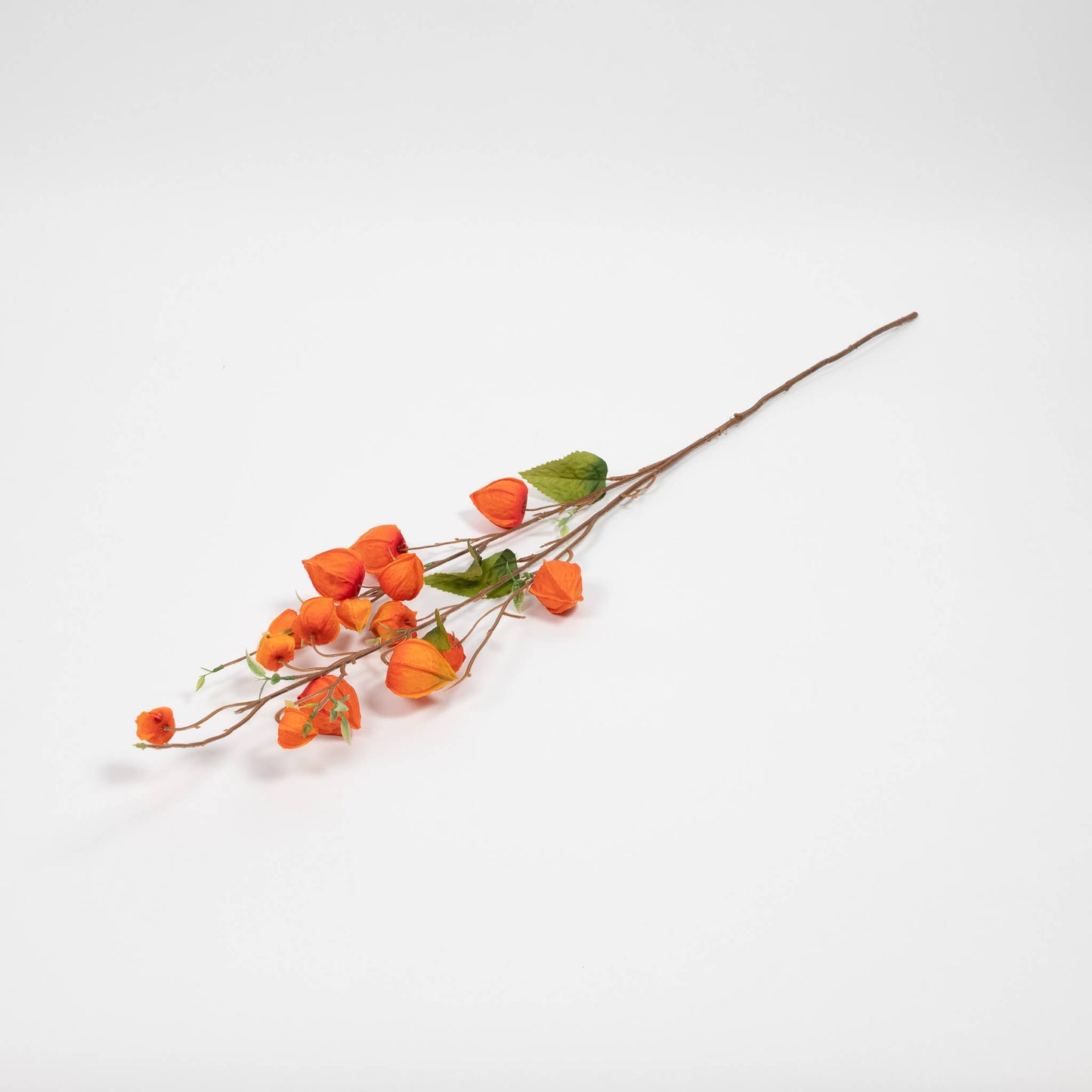 Japanese Lantern Stem - 34 Inch
