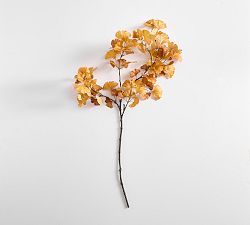 Ginkgo Branch- Golden
