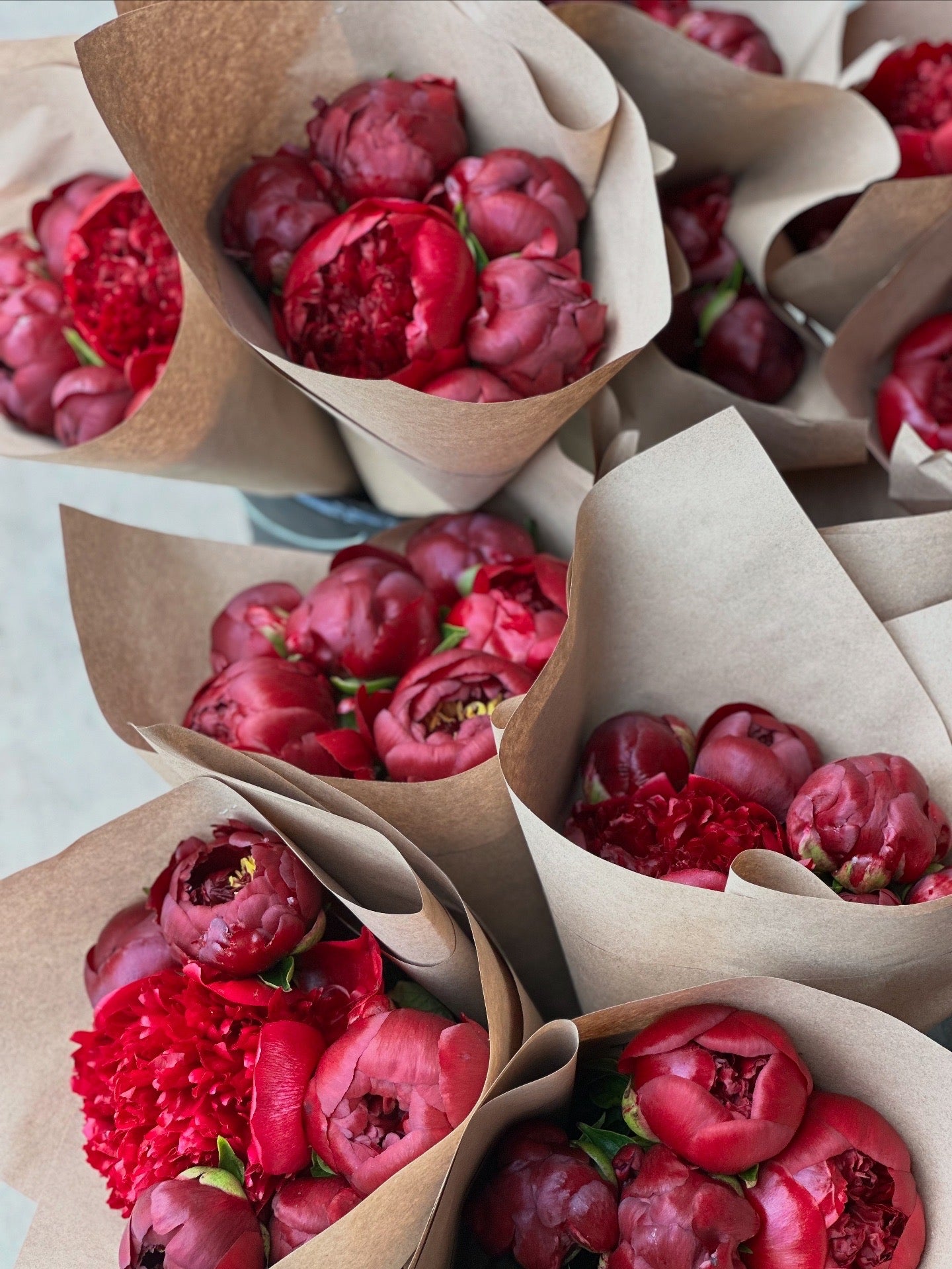 fresh peonies