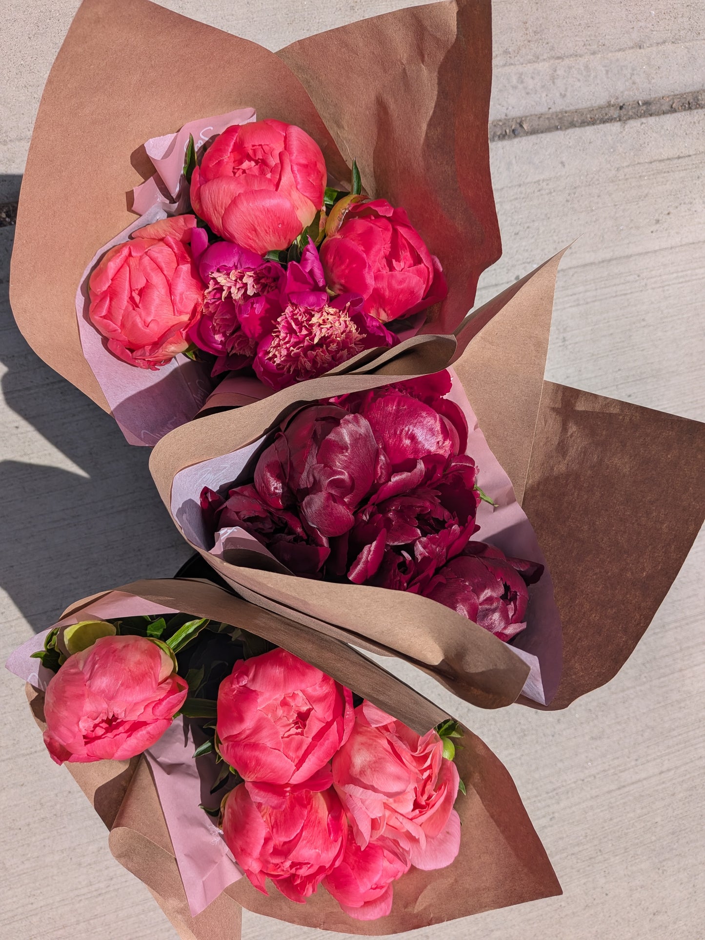 fresh peonies