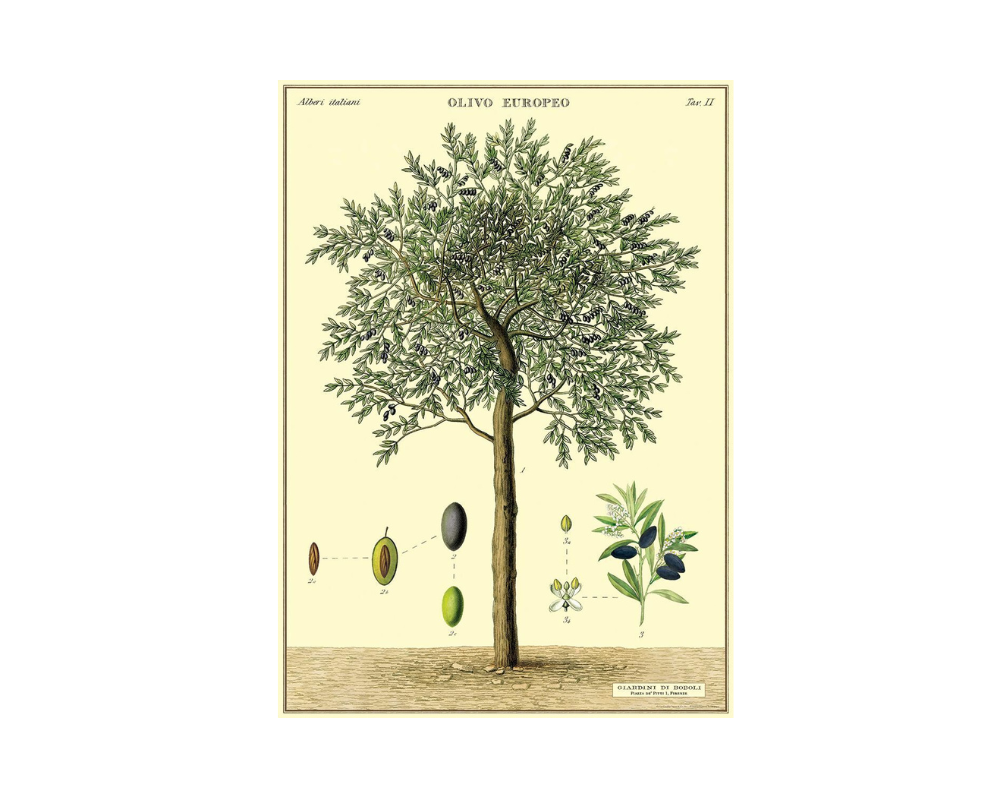 VTG Poster