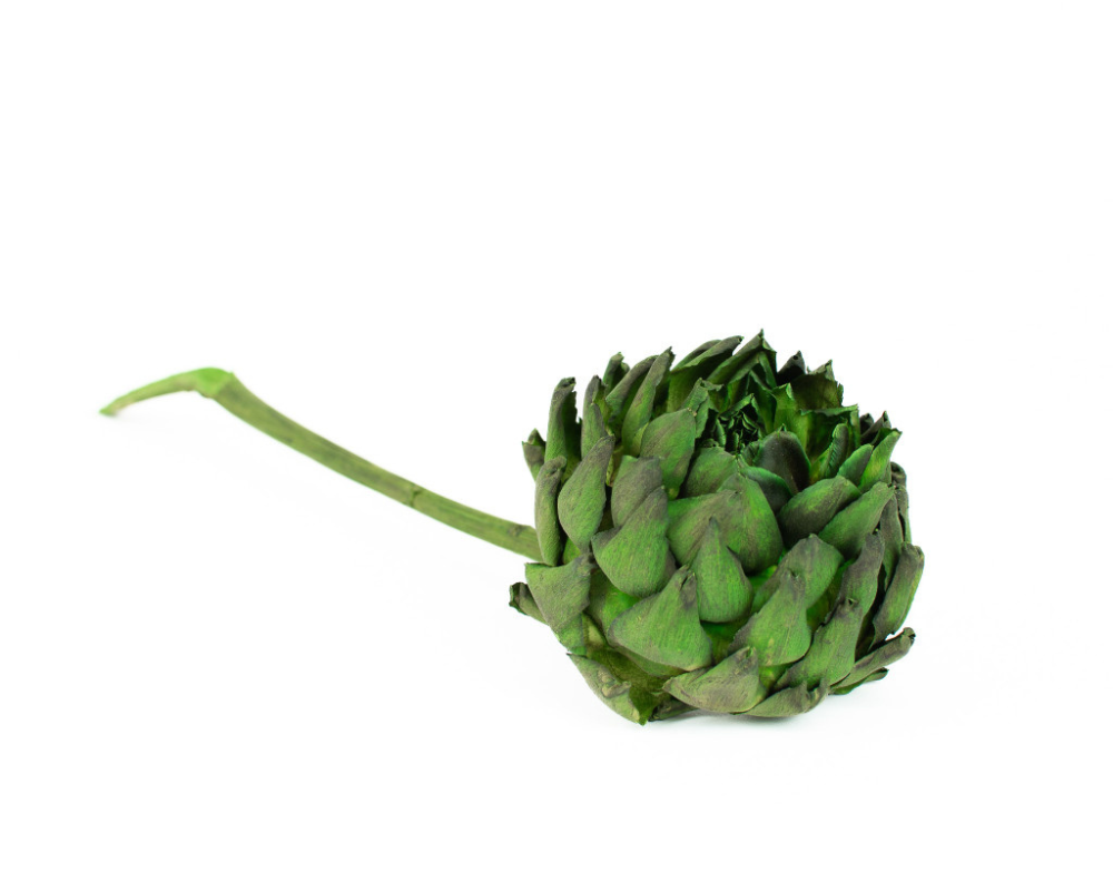 Preserved artichokes